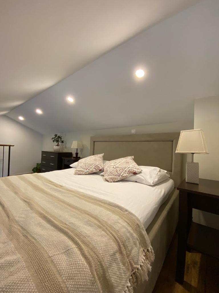 Apartments Emma ビオグラード・ナ・モル 部屋 写真